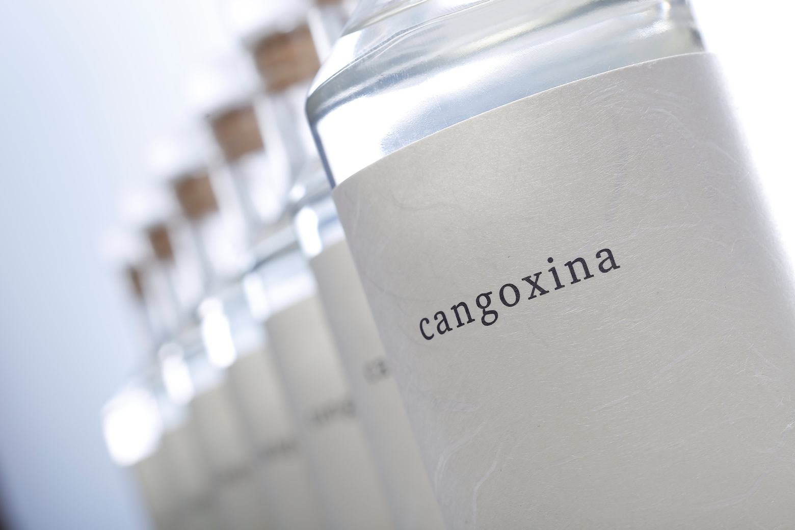 本格焼酎　cangoxina